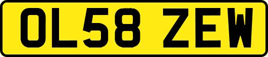 OL58ZEW