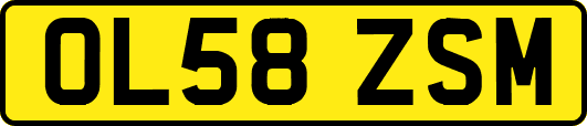 OL58ZSM