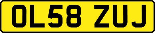 OL58ZUJ