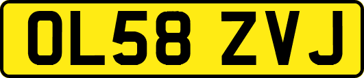 OL58ZVJ