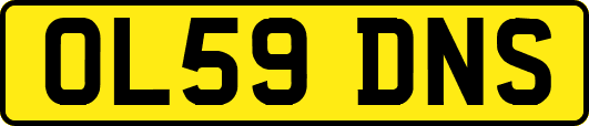 OL59DNS