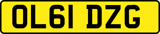 OL61DZG