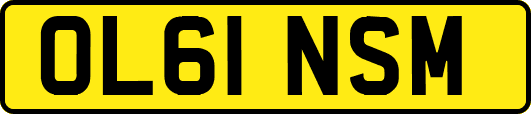 OL61NSM