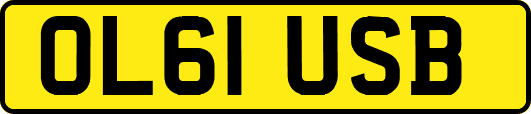 OL61USB