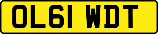 OL61WDT