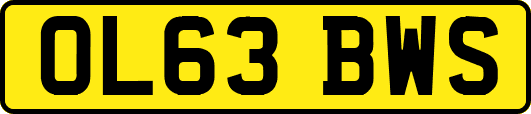 OL63BWS