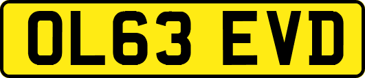 OL63EVD
