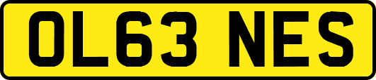 OL63NES