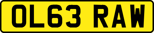 OL63RAW