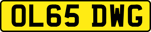 OL65DWG