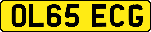OL65ECG