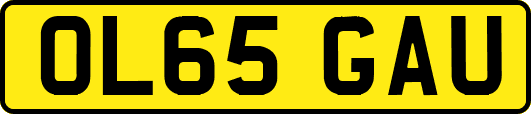 OL65GAU