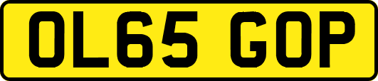 OL65GOP