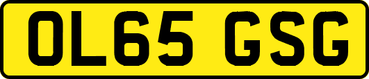 OL65GSG