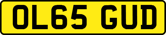 OL65GUD