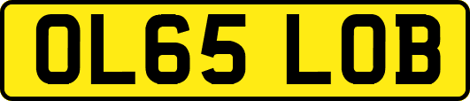 OL65LOB