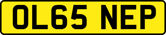 OL65NEP