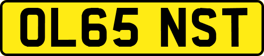 OL65NST