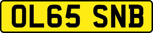 OL65SNB