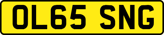 OL65SNG