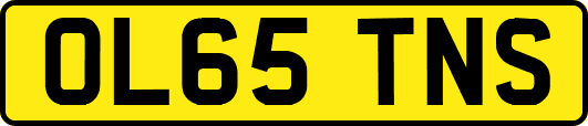 OL65TNS