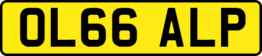 OL66ALP