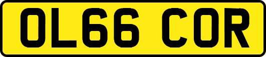 OL66COR