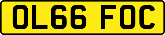 OL66FOC