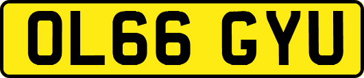 OL66GYU