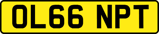 OL66NPT