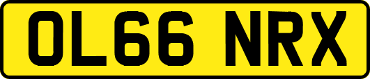 OL66NRX