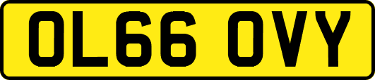 OL66OVY