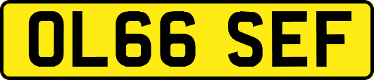 OL66SEF