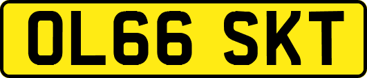 OL66SKT