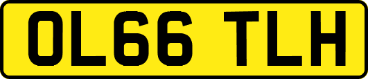 OL66TLH