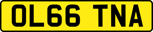 OL66TNA