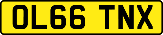 OL66TNX