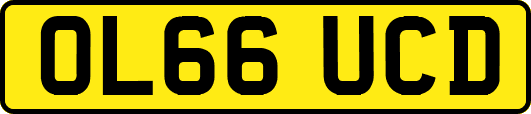 OL66UCD