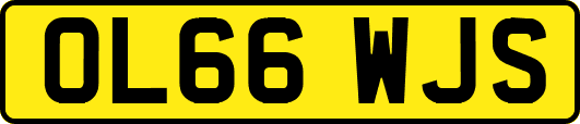 OL66WJS