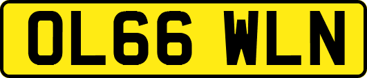 OL66WLN