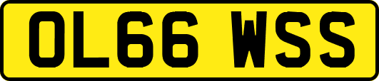 OL66WSS