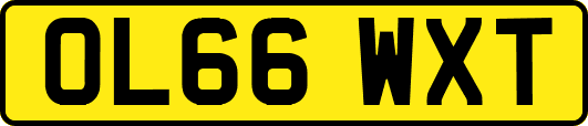 OL66WXT