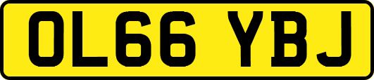 OL66YBJ