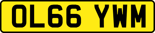 OL66YWM