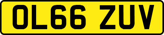 OL66ZUV