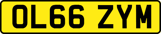 OL66ZYM