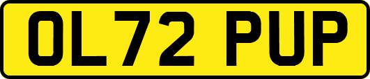 OL72PUP