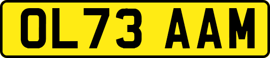 OL73AAM