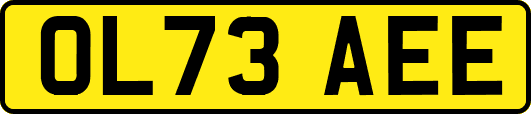 OL73AEE