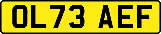 OL73AEF